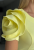 Zrzut ekranu 2025-09-20 134909.png
